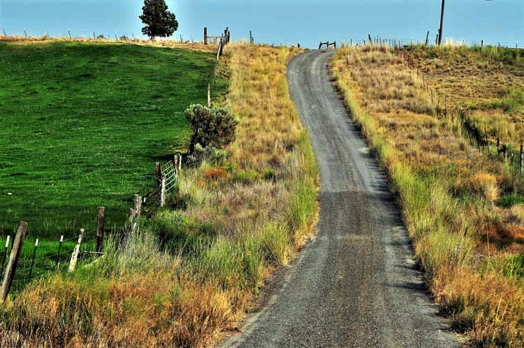 long, narrow farmer's road